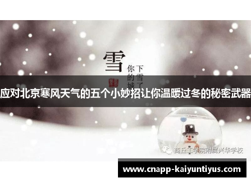应对北京寒风天气的五个小妙招让你温暖过冬的秘密武器
