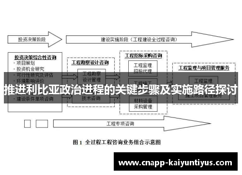 推进利比亚政治进程的关键步骤及实施路径探讨