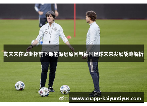 勒夫未在欧洲杯前下课的深层原因与德国足球未来发展战略解析