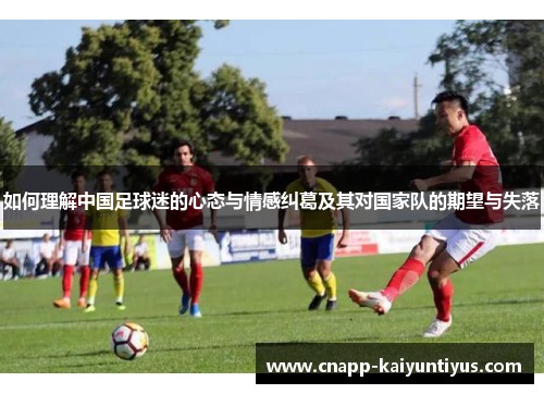 如何理解中国足球迷的心态与情感纠葛及其对国家队的期望与失落 如何理解中国足球迷的心态与情感纠葛及其对国家队的期望与失落