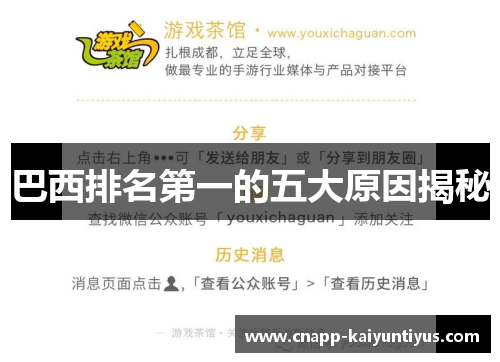 巴西排名第一的五大原因揭秘 巴西排名第一的五大原因揭秘