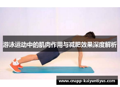 游泳运动中的肌肉作用与减肥效果深度解析 游泳运动中的肌肉作用与减肥效果深度解析