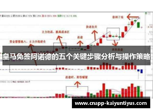 皇马免签阿诺德的五个关键步骤分析与操作策略 皇马免签阿诺德的五个关键步骤分析与操作策略