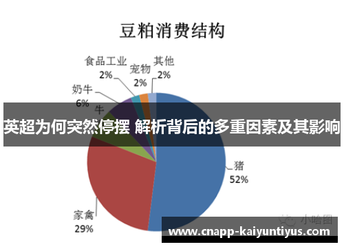 英超为何突然停摆 解析背后的多重因素及其影响