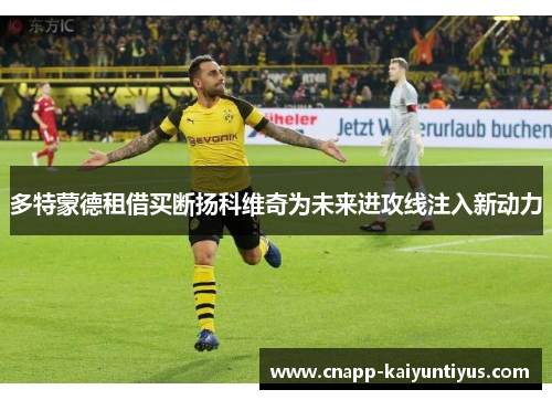 多特蒙德租借买断扬科维奇为未来进攻线注入新动力 多特蒙德租借买断扬科维奇为未来进攻线注入新动力