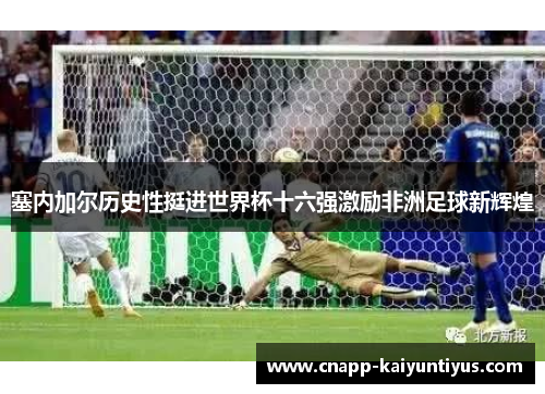 塞内加尔历史性挺进世界杯十六强激励非洲足球新辉煌 塞内加尔历史性挺进世界杯十六强激励非洲足球新辉煌