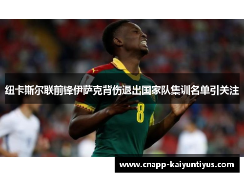 纽卡斯尔联前锋伊萨克背伤退出国家队集训名单引关注